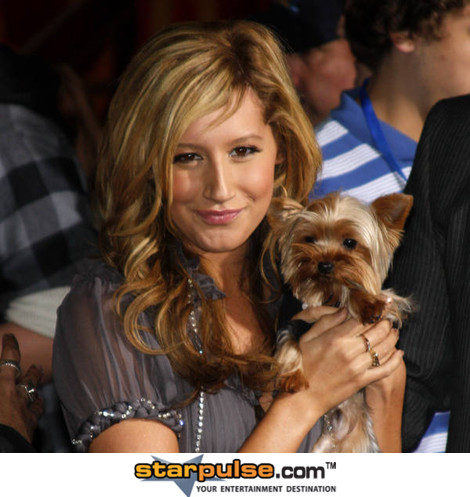 Ashley Tisdale-DGG-017666.jpg