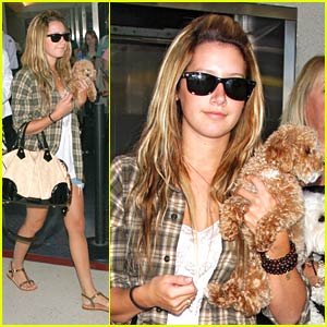 ashley-tisdale-lax-dog.jpg