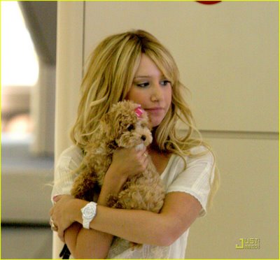 ashley-tisdale-pooch-power-04.jpg
